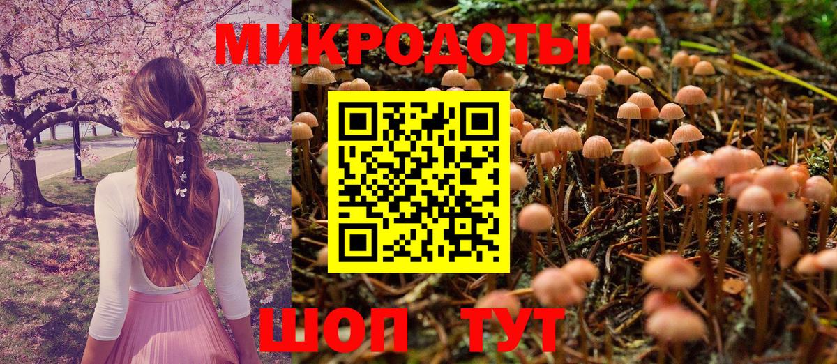 Галлюциногенные грибы мухоморы Черногорск