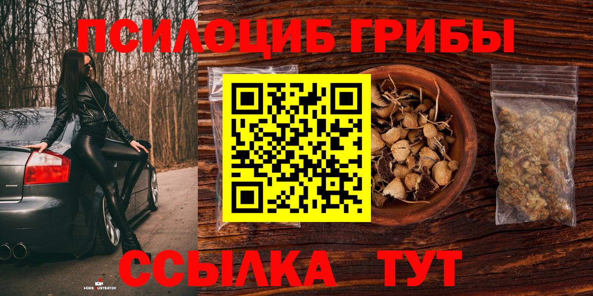 где купить   Вход с VPN  Черногорск  Псилоцибиновые грибы Psilocybe 